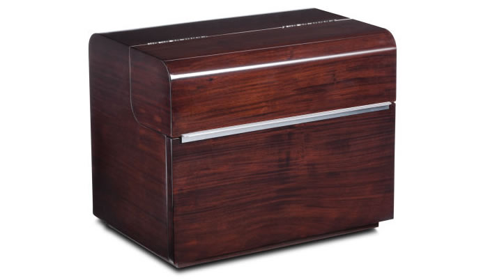 pPOLO2-21859036_standard_v400