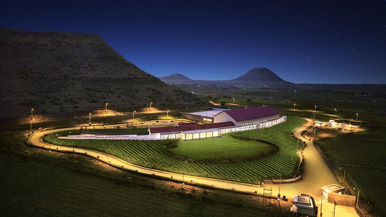 moet-chandon-winery (2)