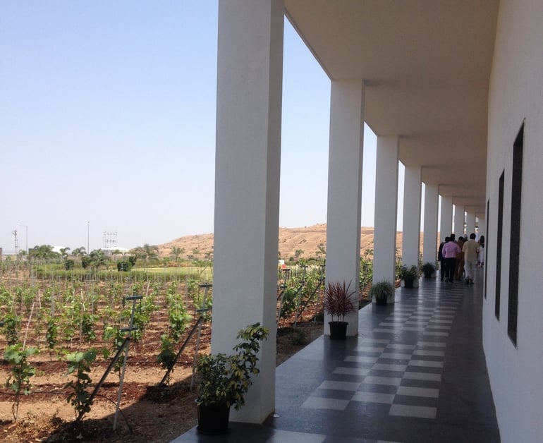 moet-chandon-winery (6)