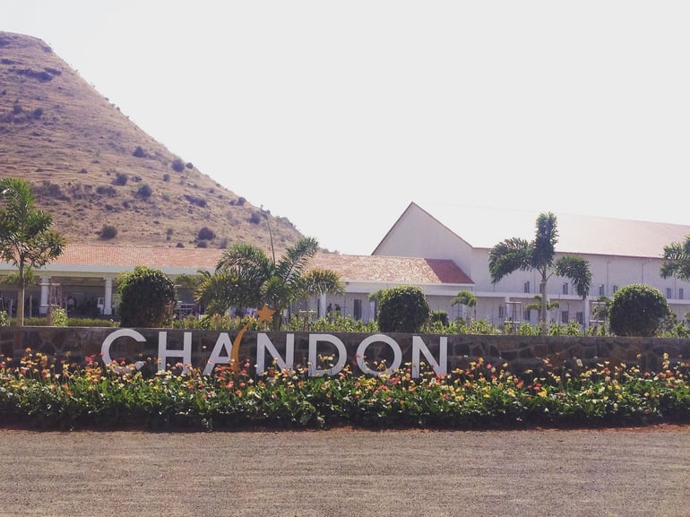 moet-chandon-winery (7)