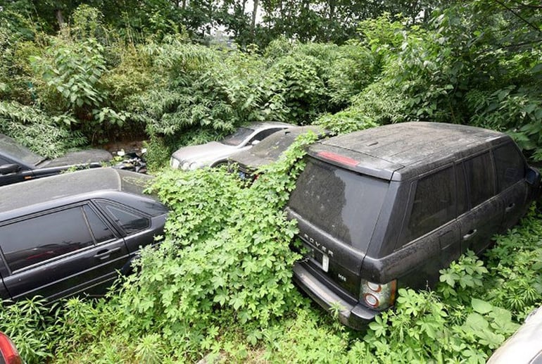 luxury_car_graveyard2