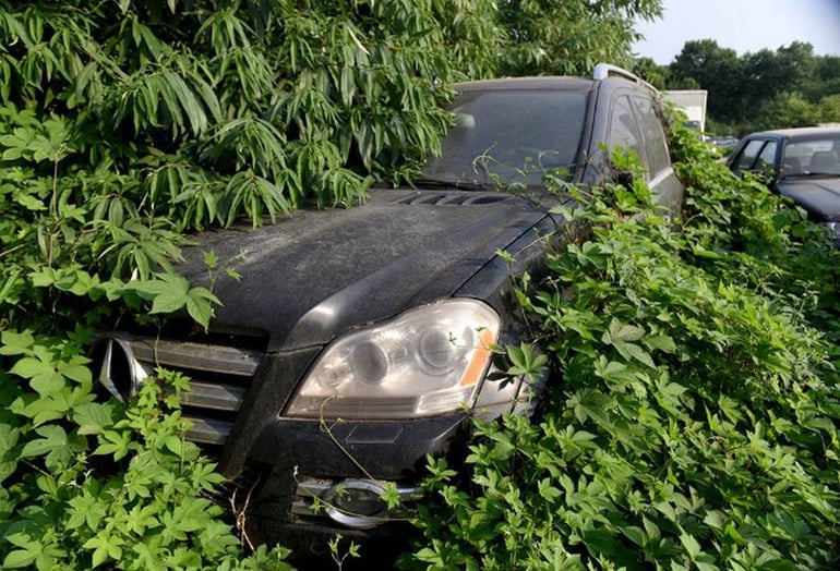 luxury_car_graveyard3