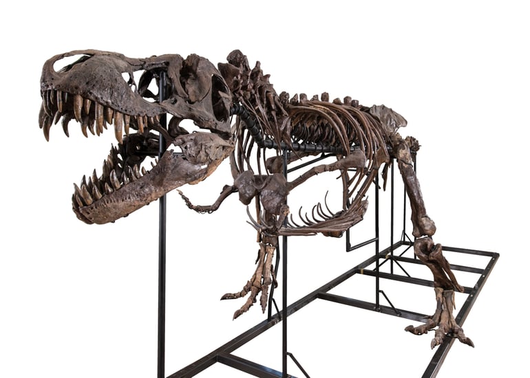 Quarter_rex_SFW