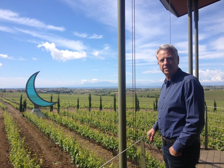 Vangelis Gerovassiliou in front of his vineyard overlooking the Olympus mountain