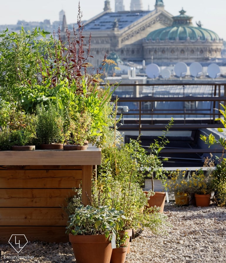 mopar_-_vegetable_garden_3-1