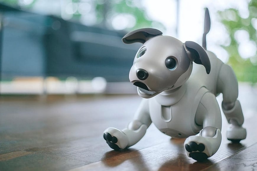 aibo01_o