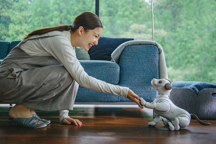 aibo05_o