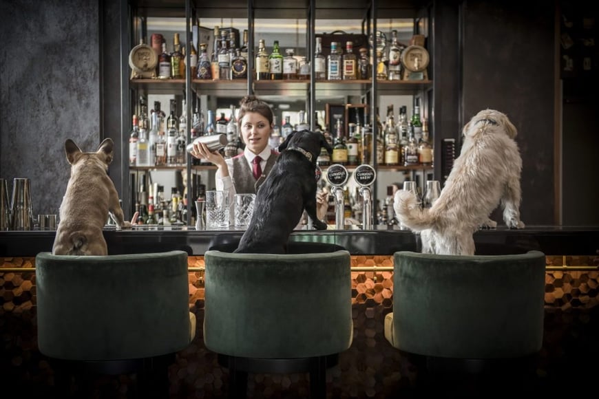 DOG-COCKTAILS (1)
