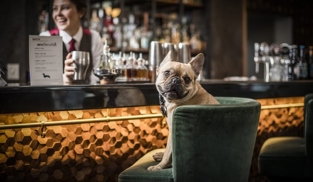 DOG-COCKTAILS (3)