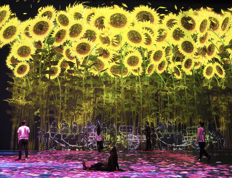 teamlab-paris (4)