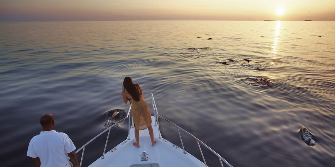 Sunset Dolphin Cruise