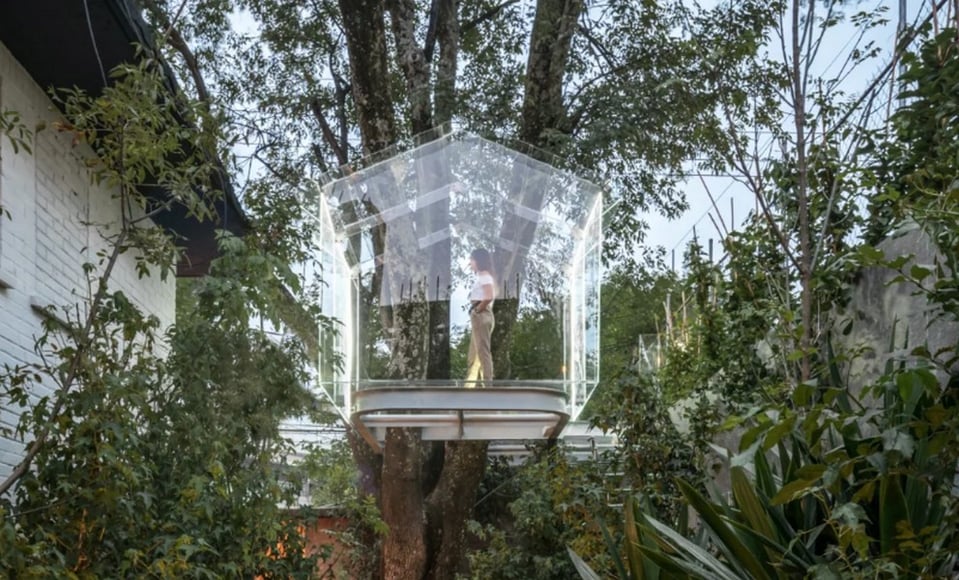 gerardo broissin glass treehouse mexico city (1)
