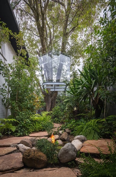 gerardo broissin glass treehouse mexico city (2)