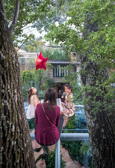 gerardo broissin glass treehouse mexico city (3)
