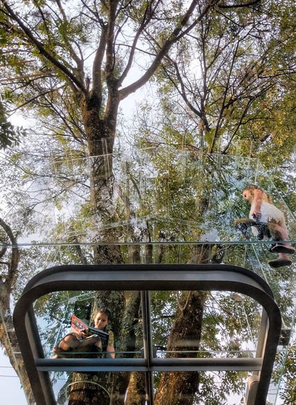 gerardo broissin glass treehouse mexico city (4)