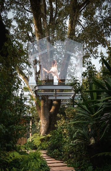 gerardo broissin glass treehouse mexico city (5)