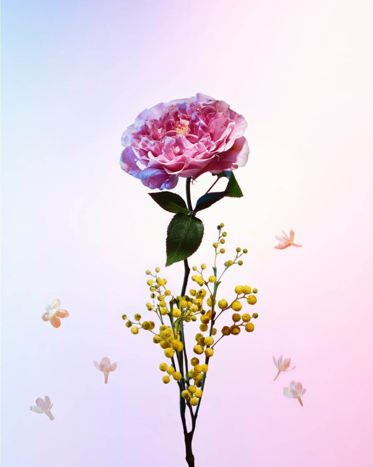 Louis Vuitton Heures d'Absence – A brand new exotic musk fragrance