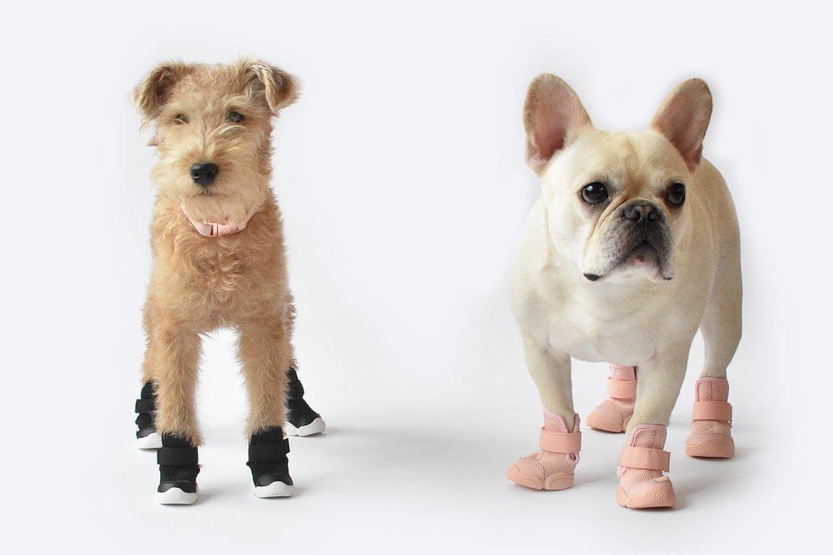 洋楽 Rup Dog maxresdefault.jpg