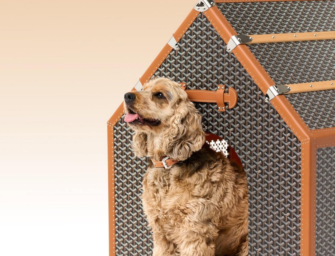 Goyard dog house