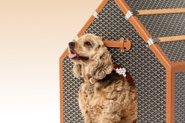 Goyard dog house