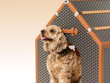 Goyard dog house