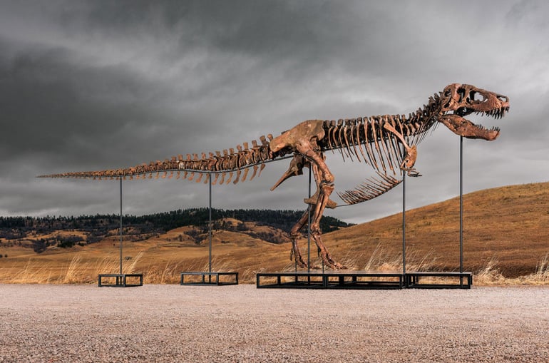  jodi fossil 