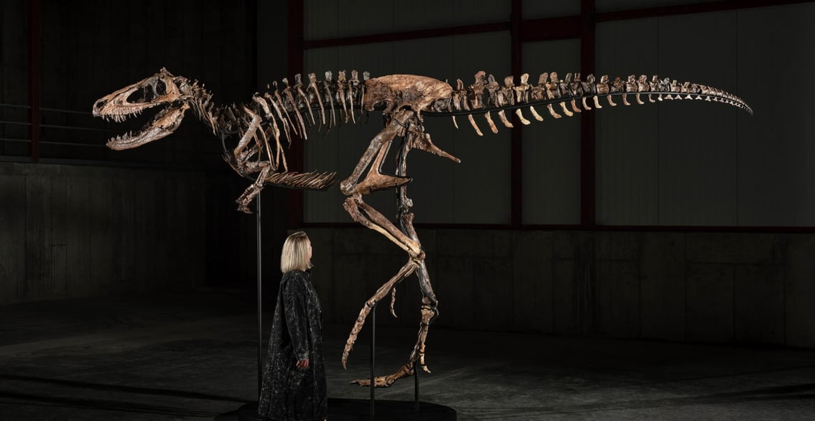 jodi fossil