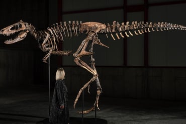 jodi fossil