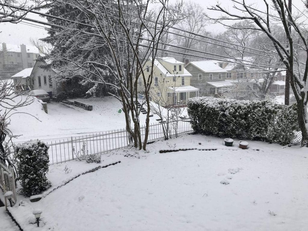 Heavy Snow Snarls Montgomery County