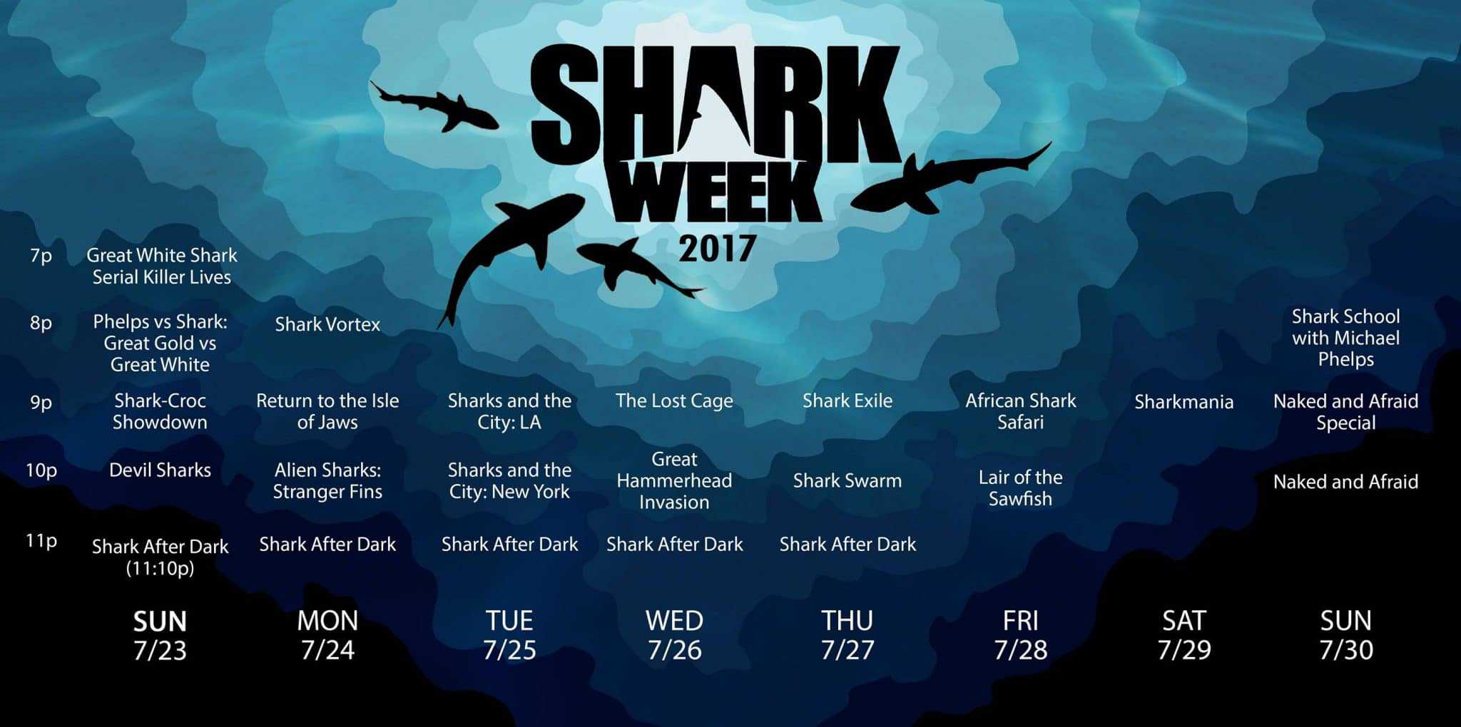 Silver Spring Comes Alive for Shark Week