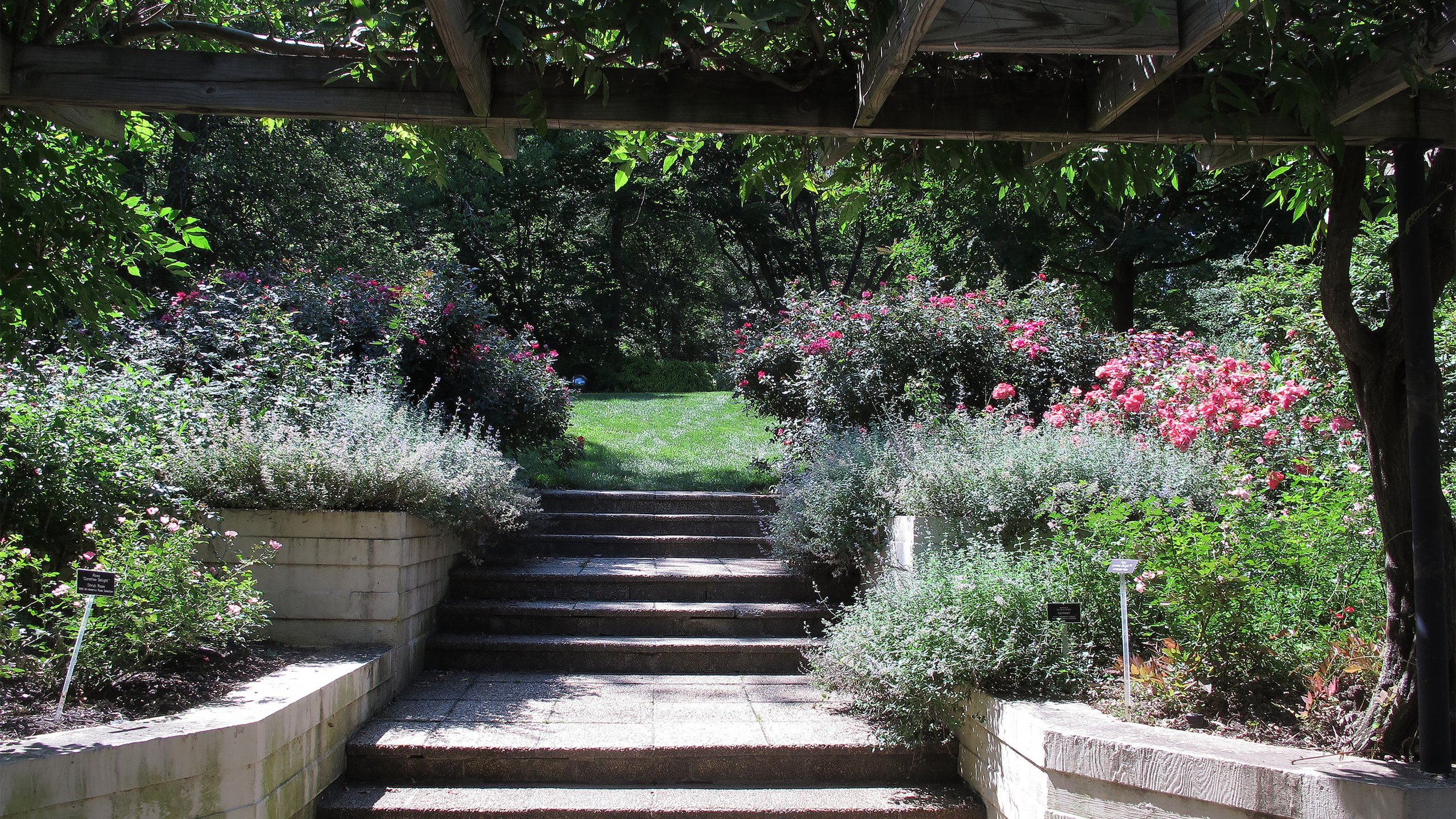 Montgomery Parks to Revamp Brookside Gardens' Rose Garden for Ecological  Sustainability | Source of the Spring