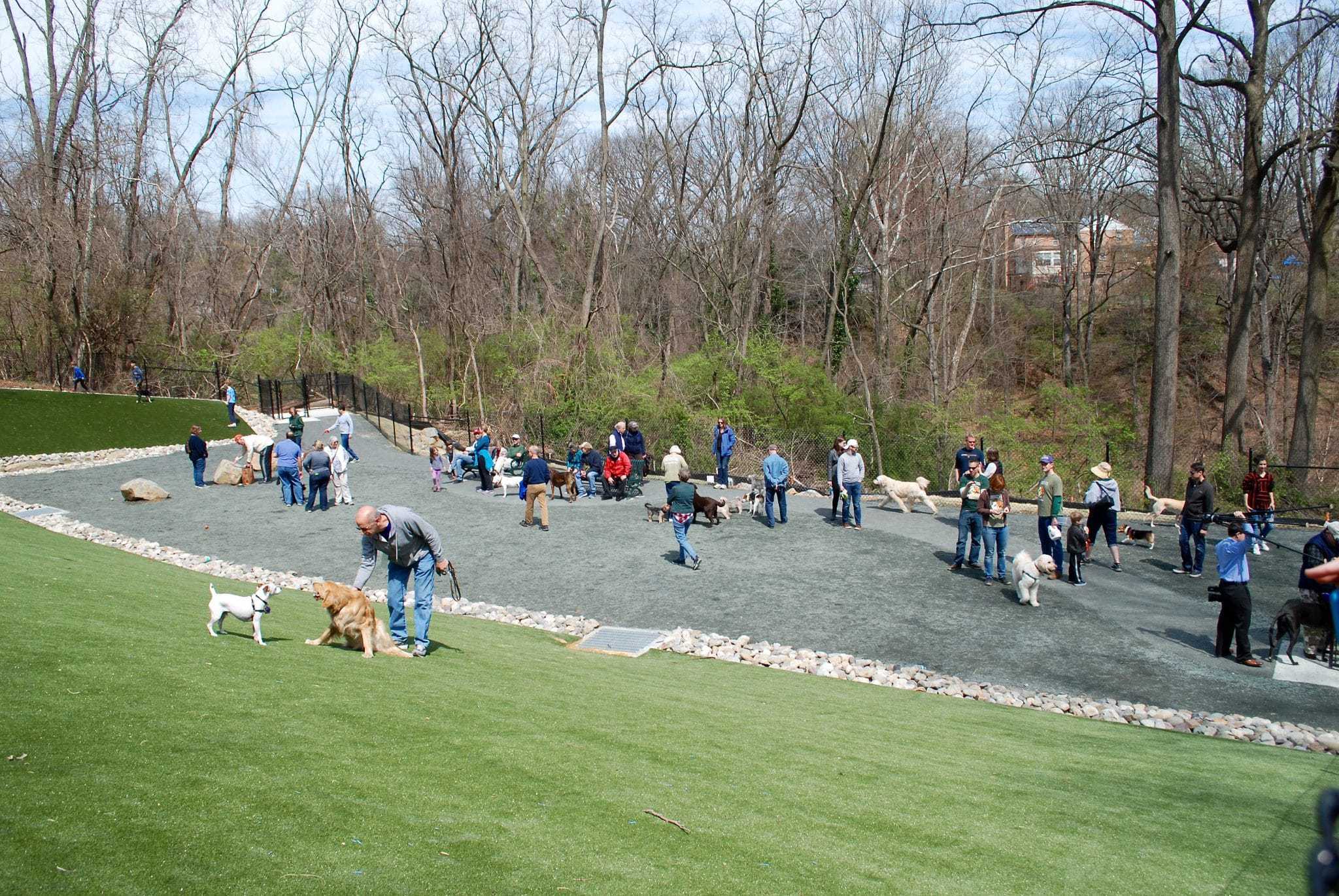 Law would ensure dogs off leash are legal in municipal dog parks