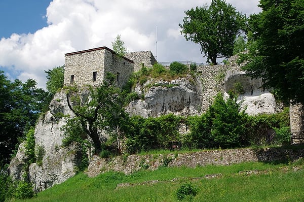 Main photo of Bąkowiec Castle