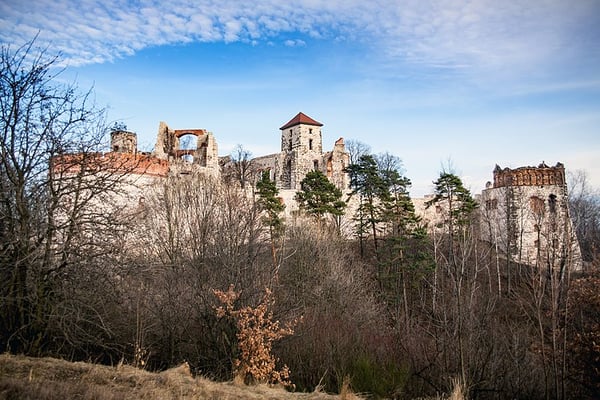 Main photo of Tenczyn Castle