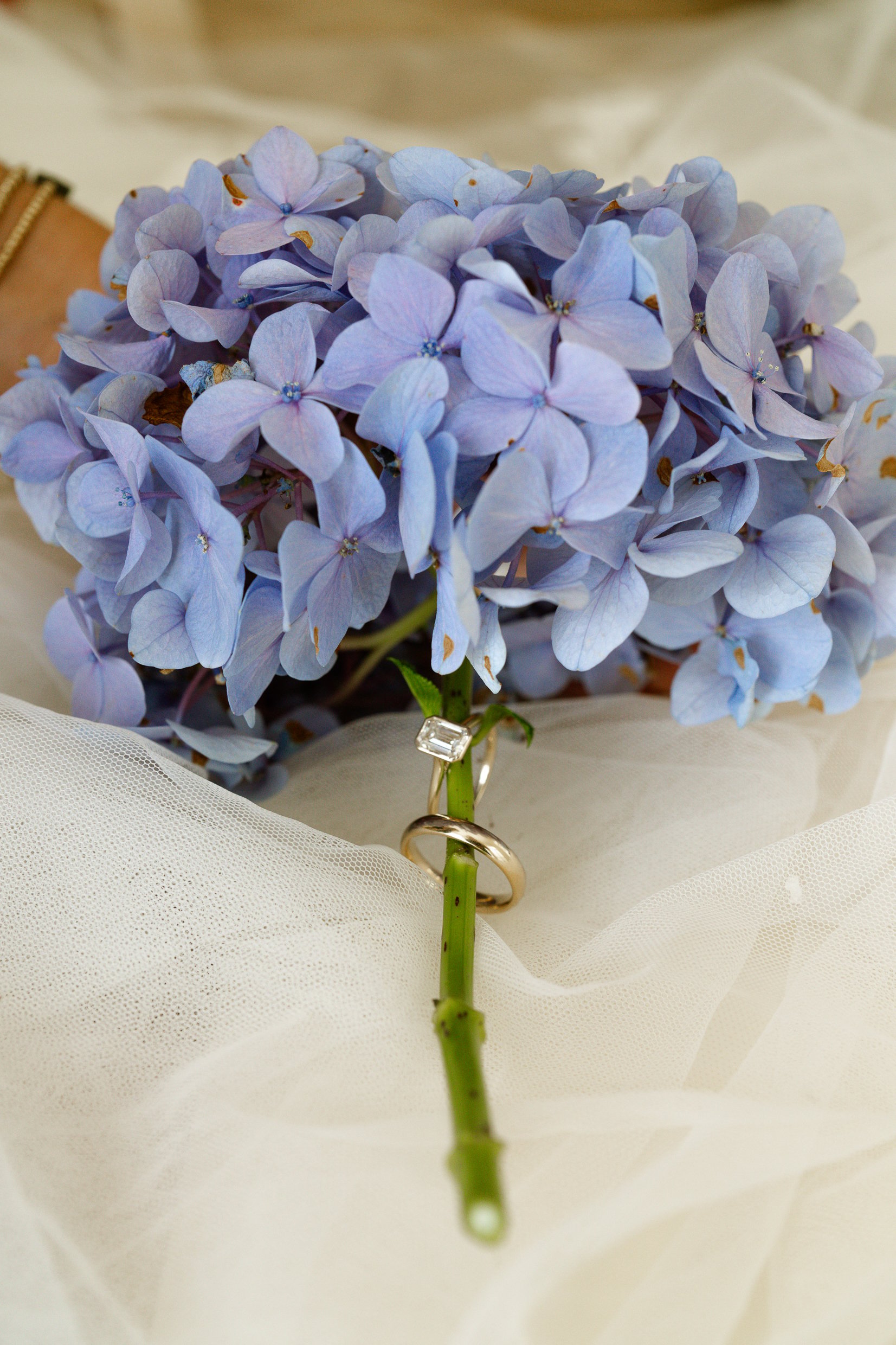 Two rings slipped onto the stem of a blue hydrangea bouquet resting on white tulle.