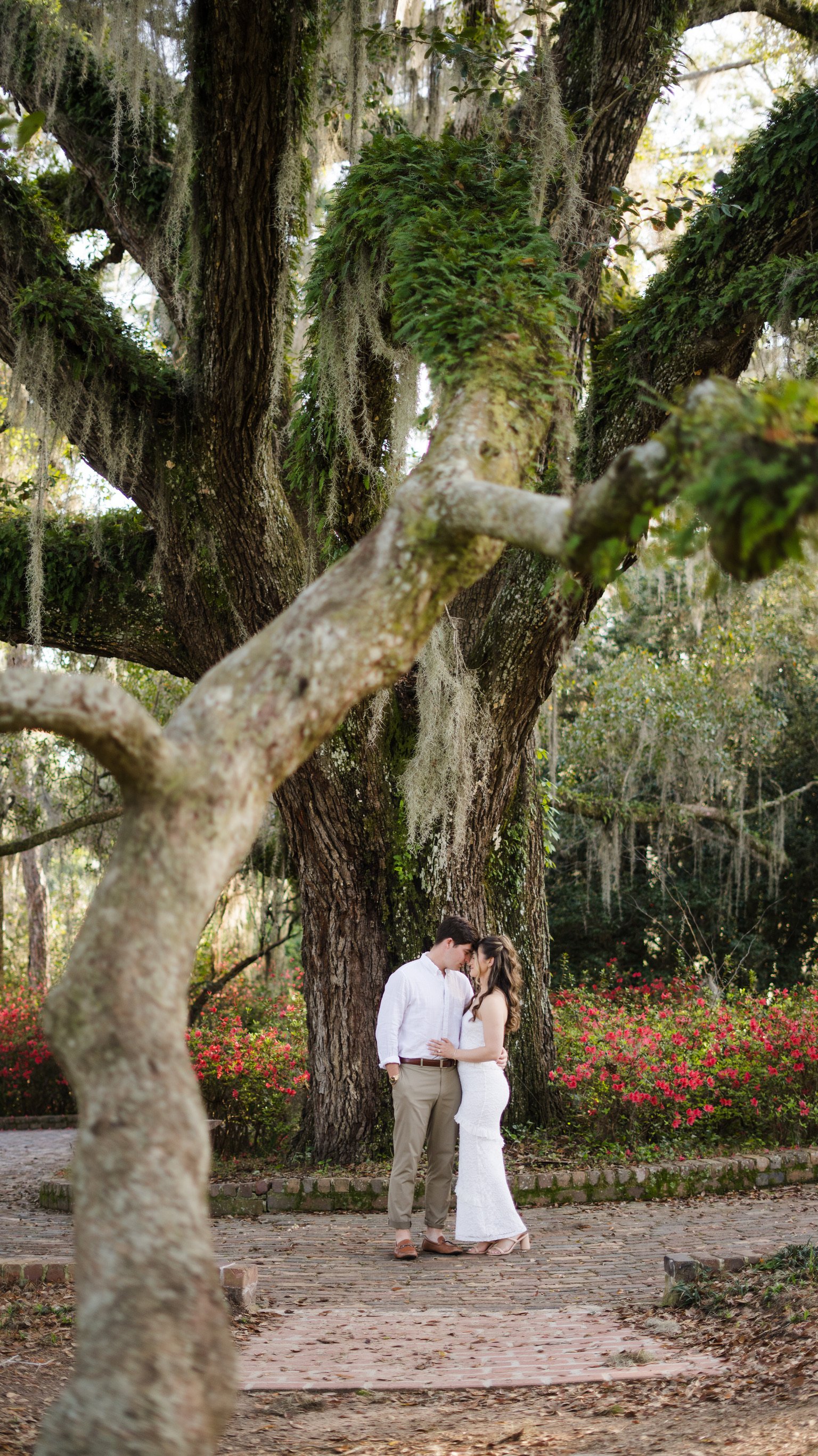 Wedding photo