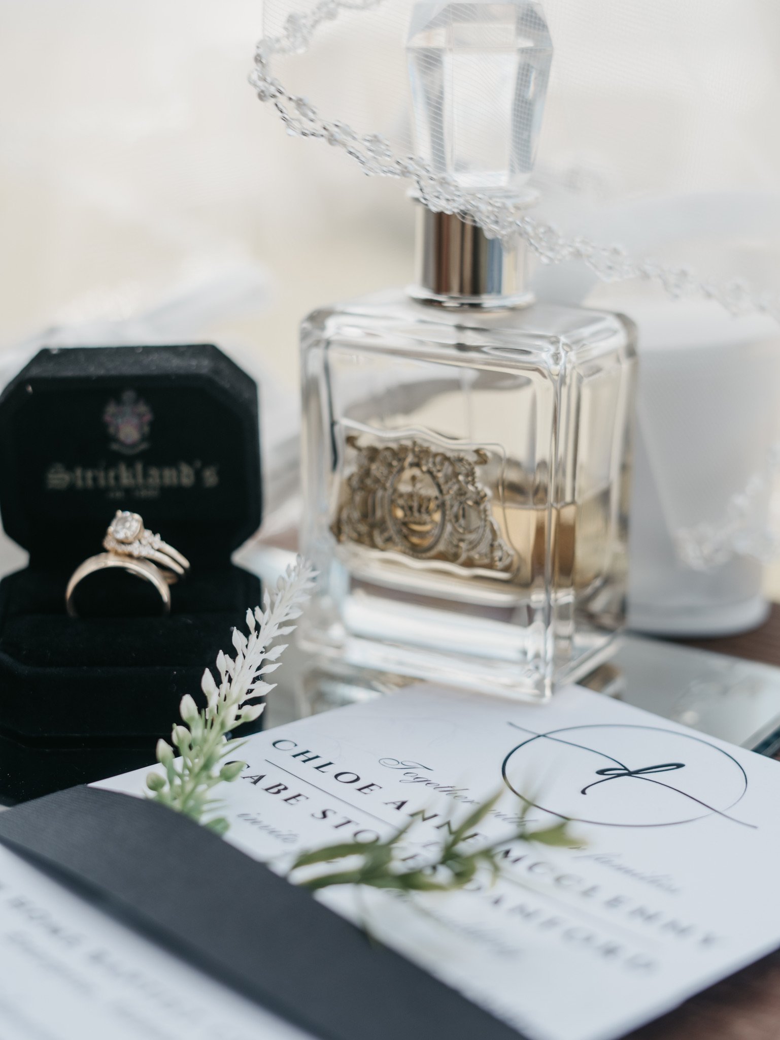 Chloe & Gabe Danford: The dress and the wedding details.