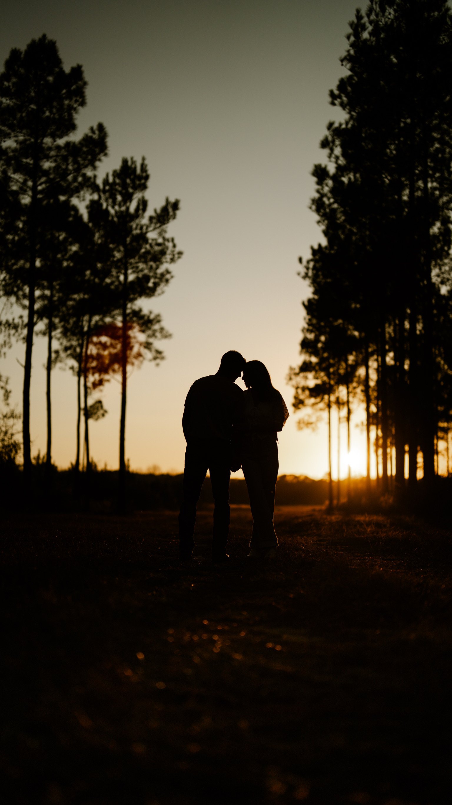 Wedding photo
