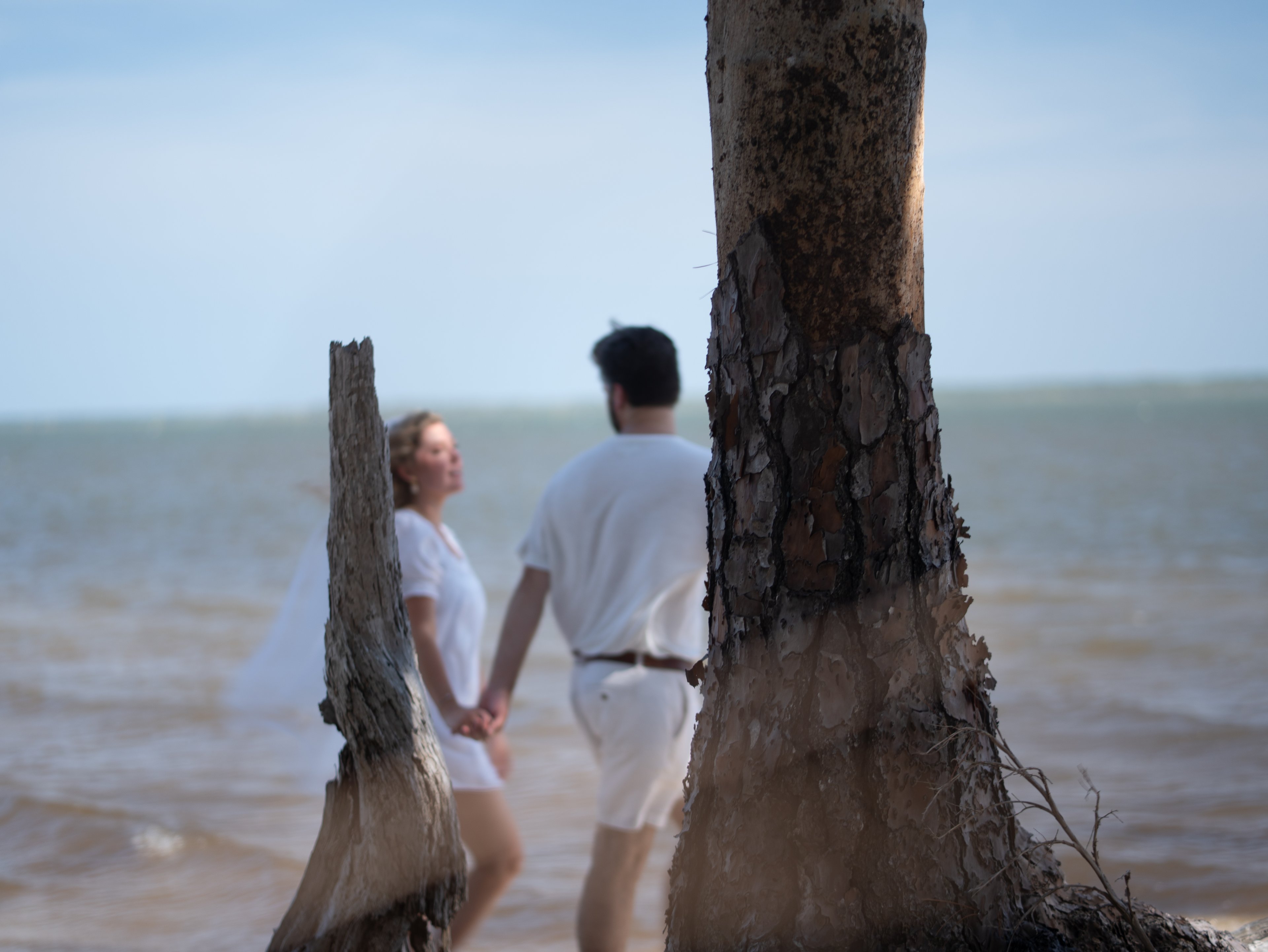 Wedding photo