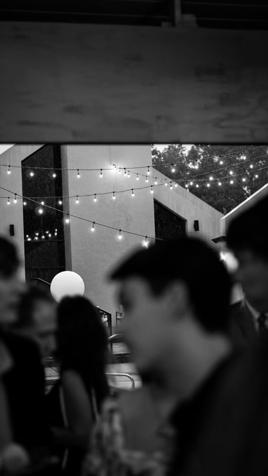 Annie & Lance Levine: The reception photographs.
