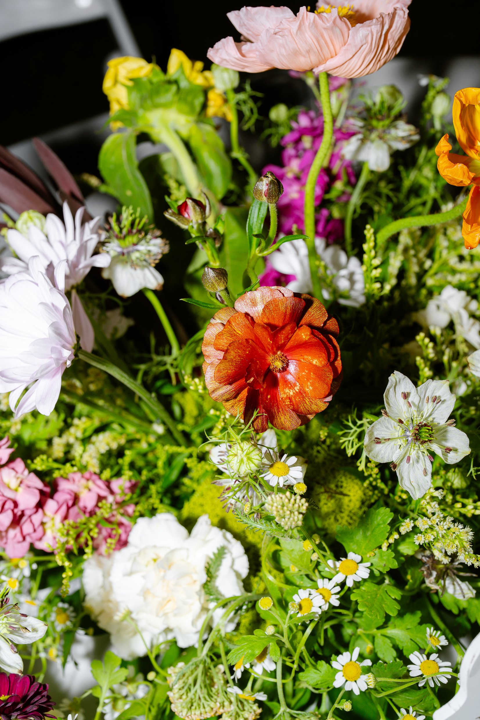 A close view of wildflowers in orange, pink, purple and white.