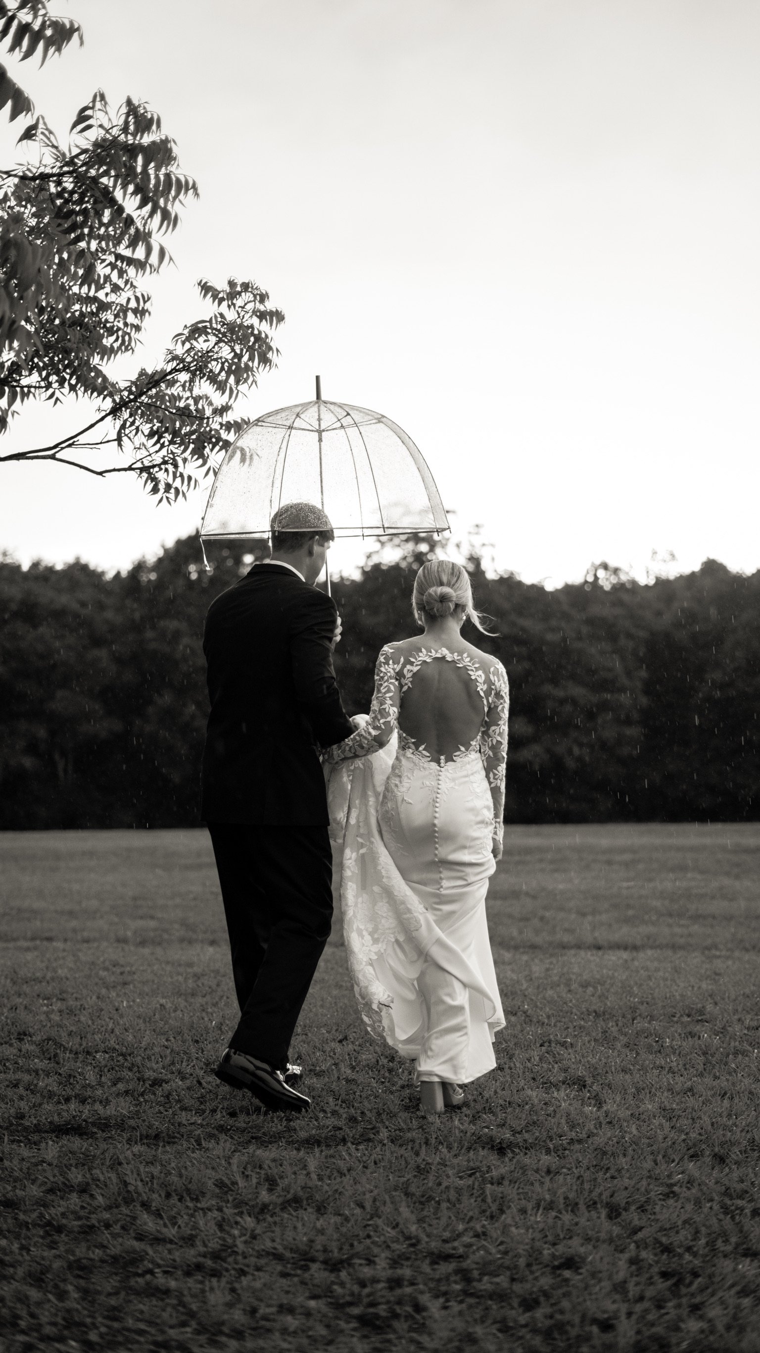 Alex & Lee Davis: The wedding portraits.