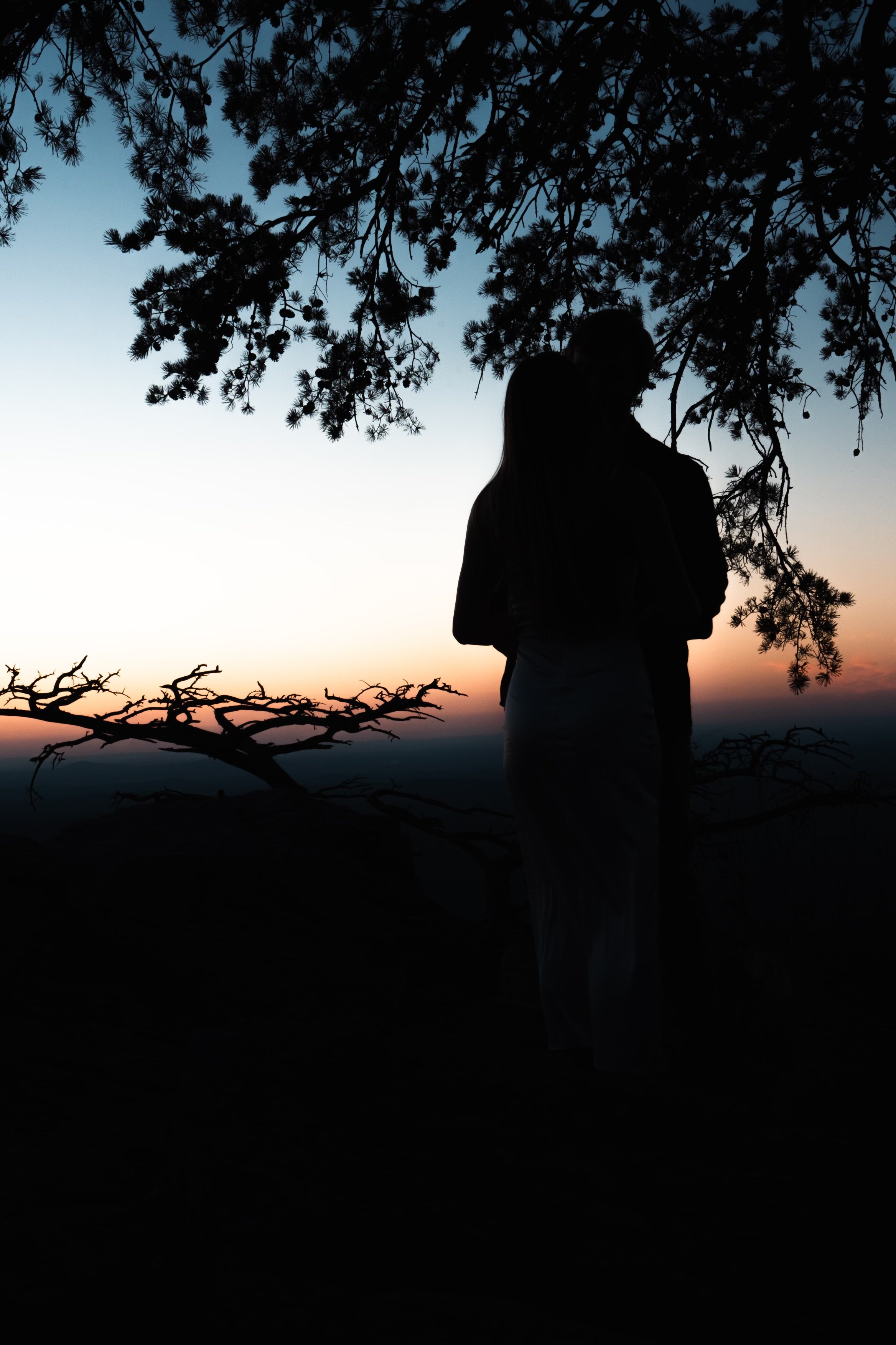 Raina & William Bertrand: The hike and engagement photographs.