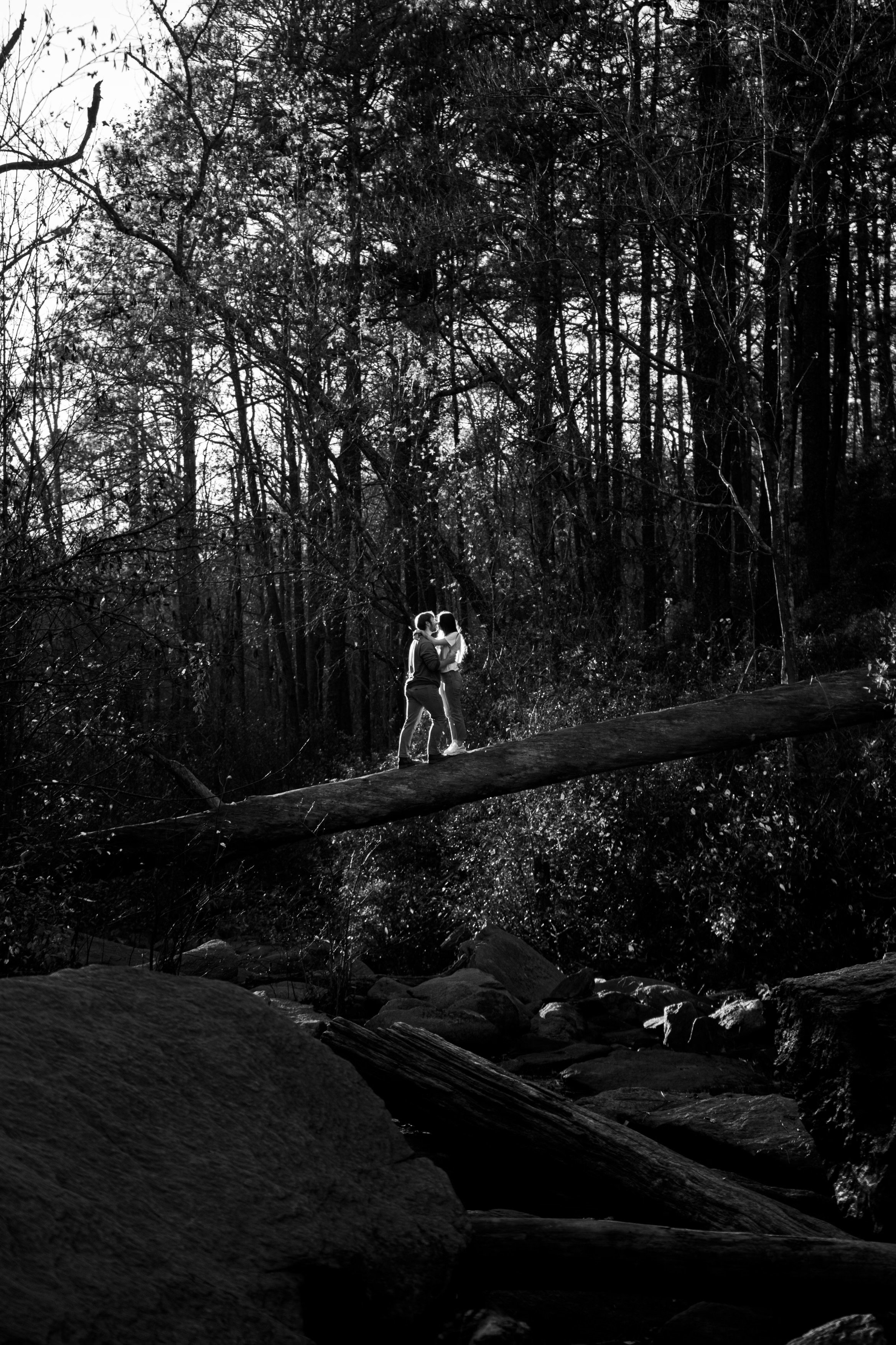 Raina & William Bertrand: The hike and engagement photographs.