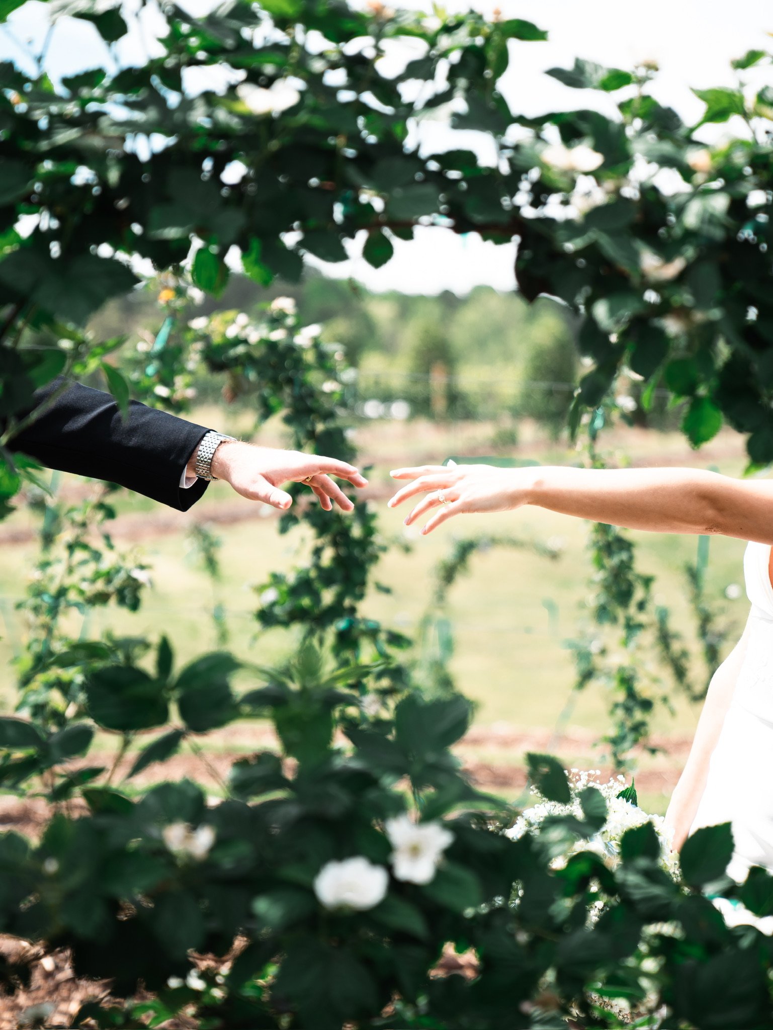 Wedding photo