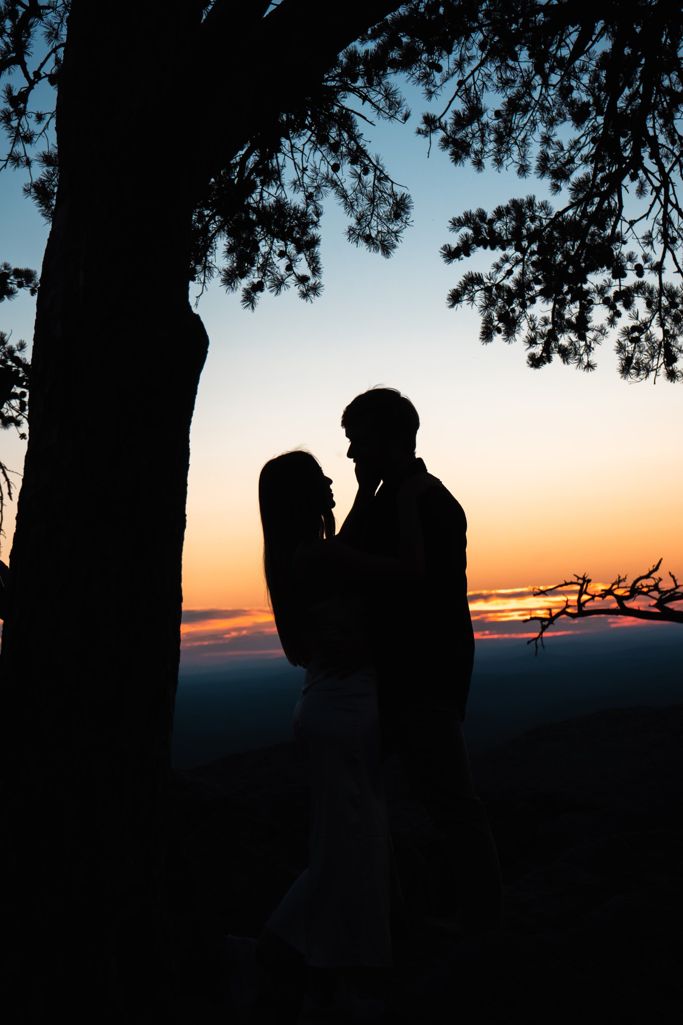 Raina & William Bertrand: The hike and engagement photographs.
