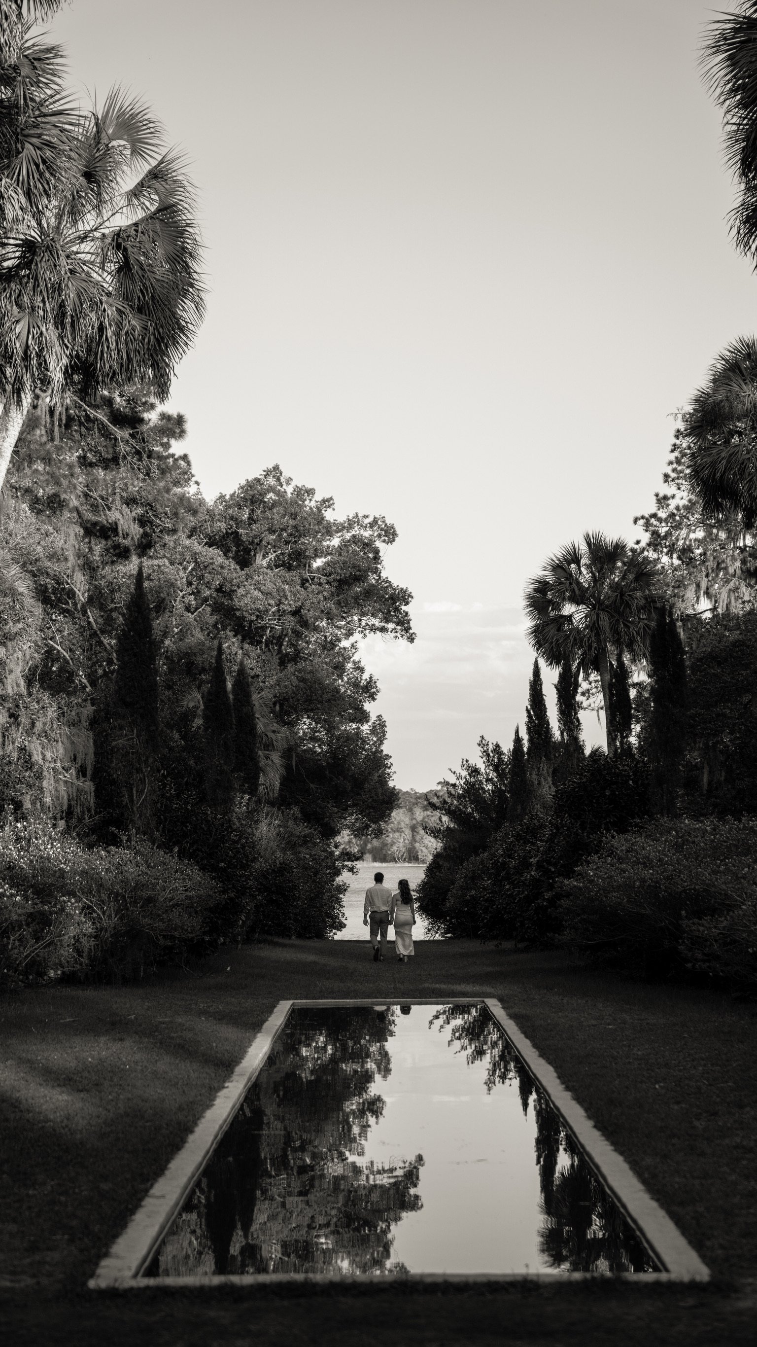 Wedding photo
