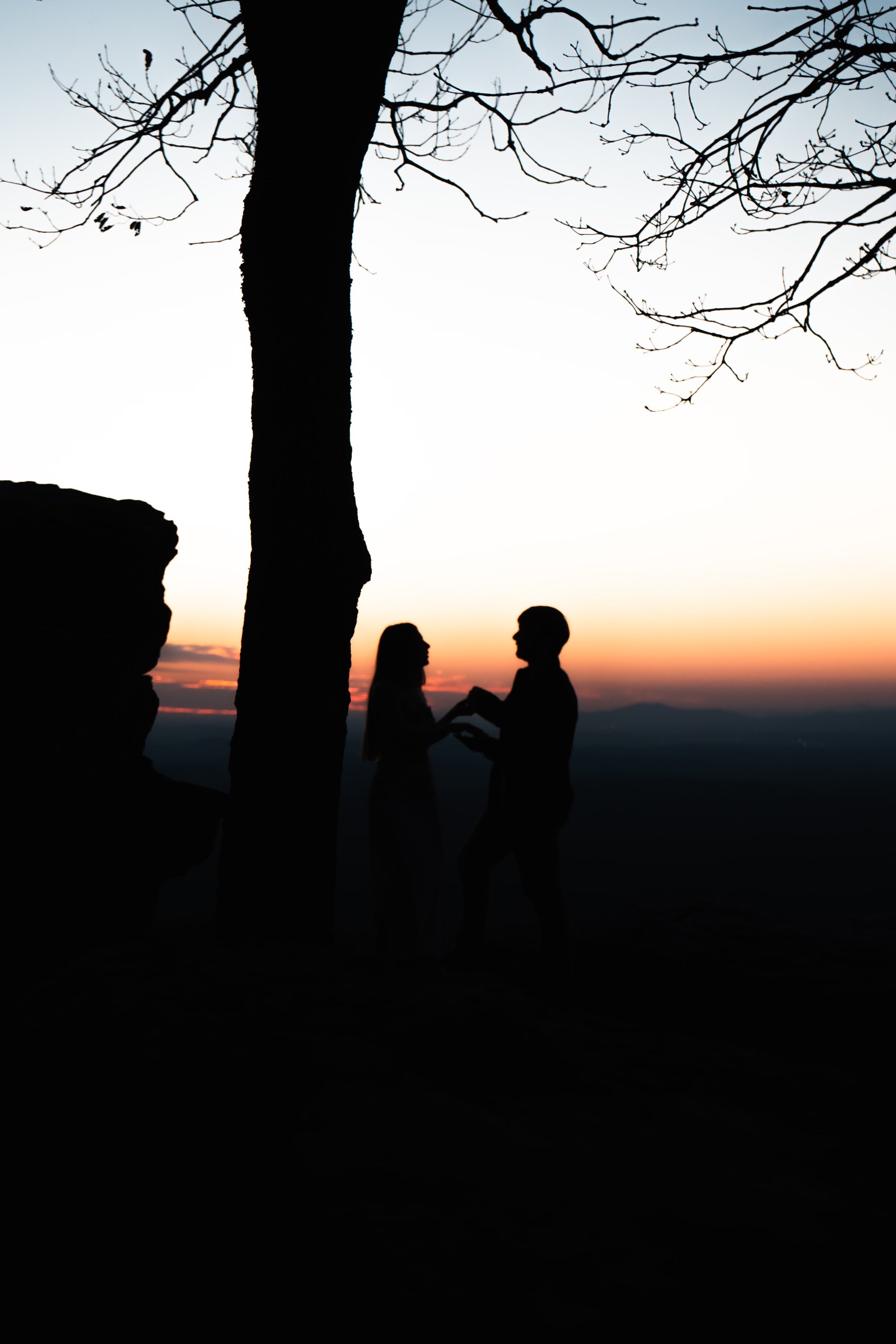 Wedding photo