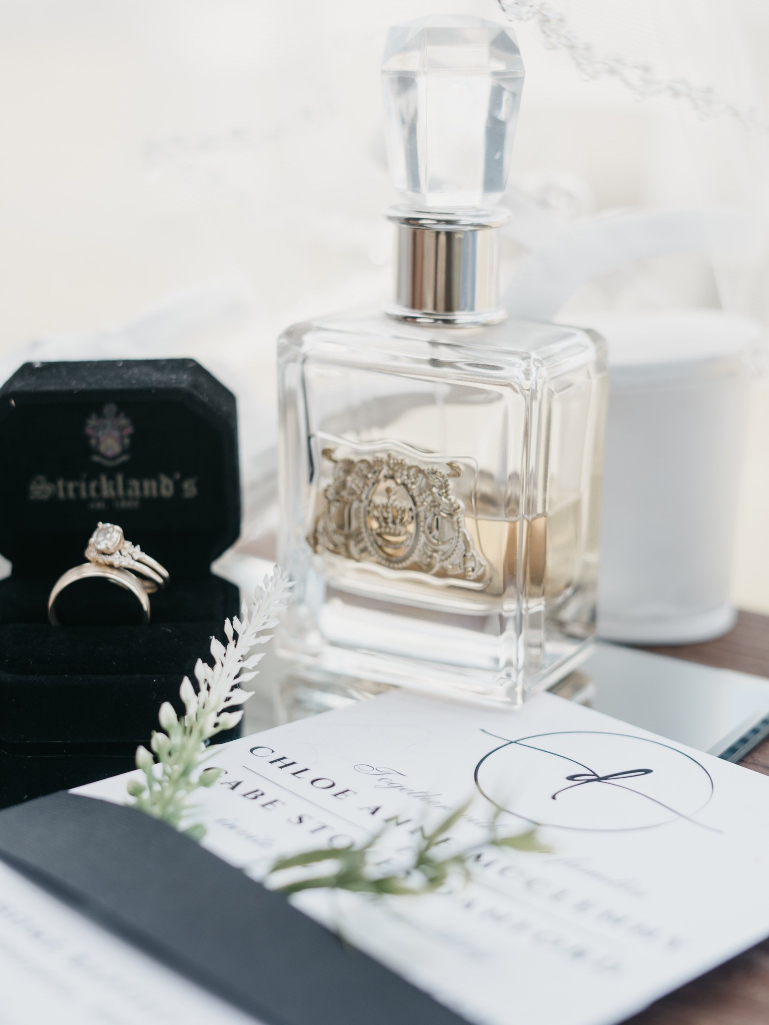 Chloe & Gabe Danford: The dress and the wedding details.