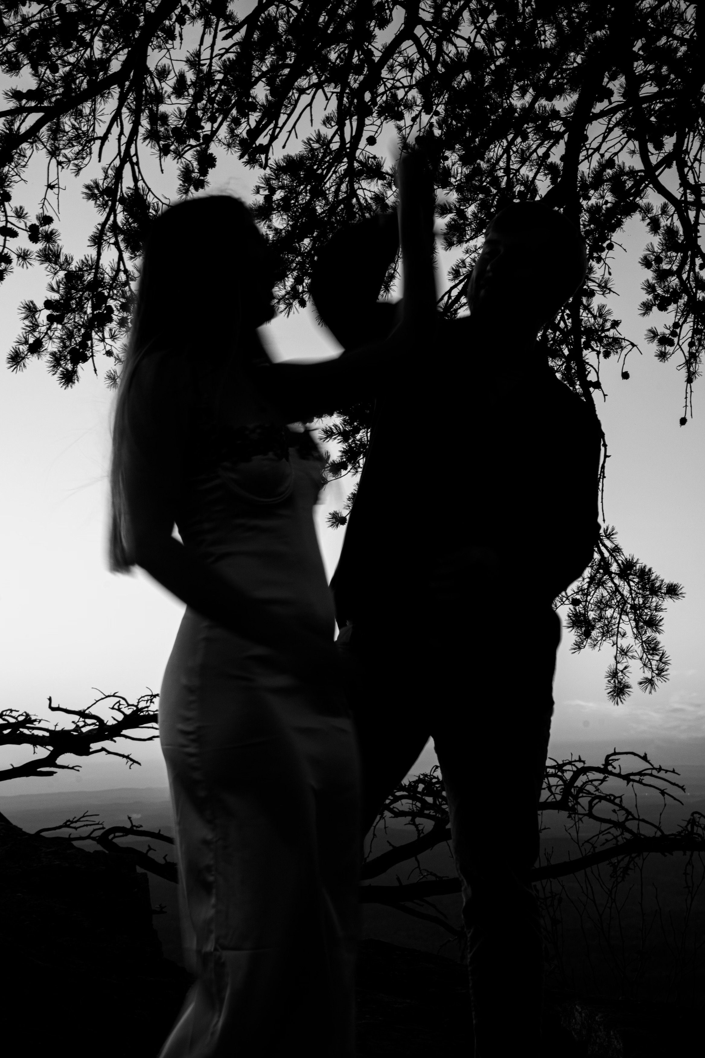 Wedding photo